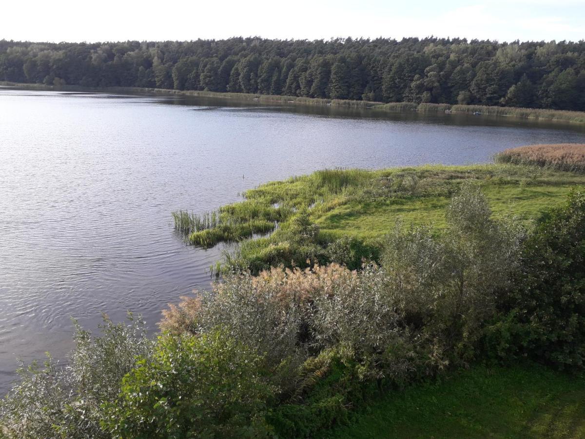 Apartment Caloroczny U Grzegorza Lidzbark Welski