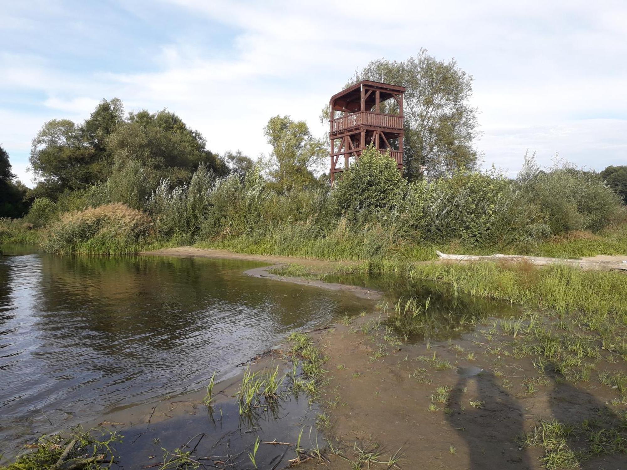 Apartment Caloroczny U Grzegorza Lidzbark Welski